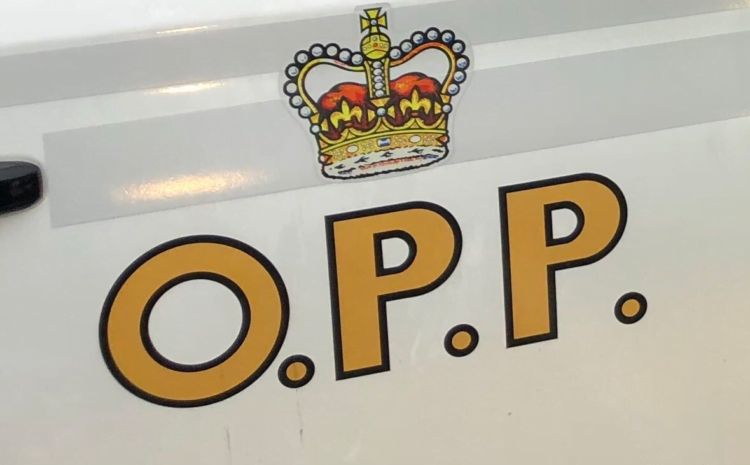 Search warrant in QW results in two arrests – Quinte News