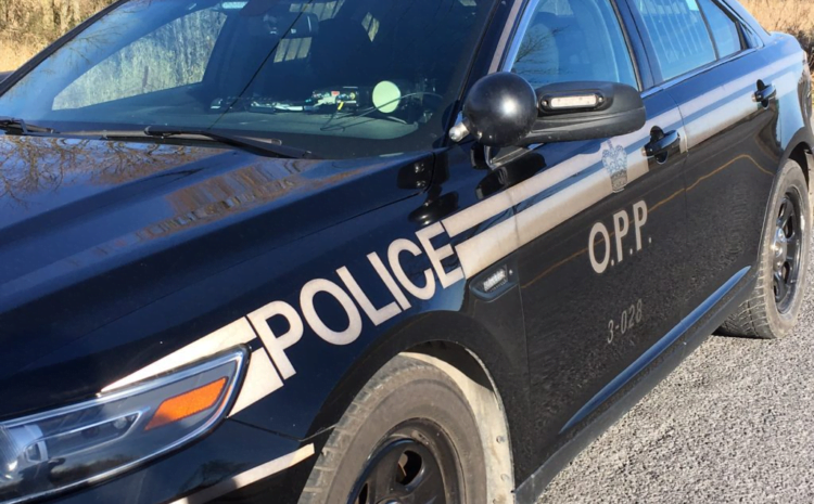 QW OPP charge three people in connection with thefts in Trenton, Cobourg and Bowmanville – Quinte News