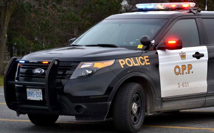INQUINTE.CA | QW man wanted for weapons offences turns himself in – inquinte.ca