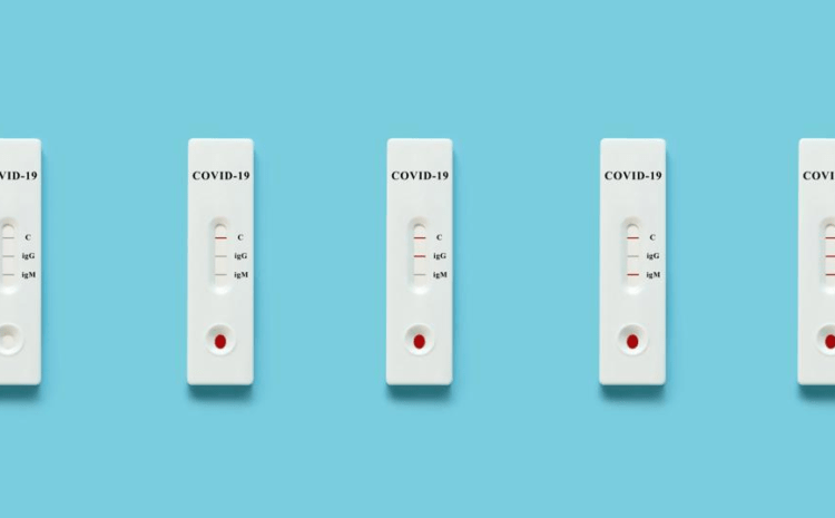 Free At-Home Covid Test Kits Website Launches Early – Forbes