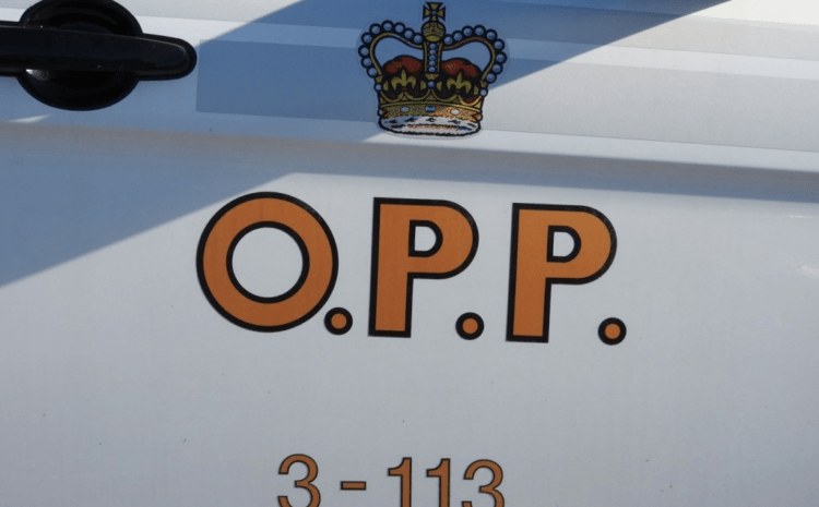 QW traffic stop leads to several arrests – Quinte News