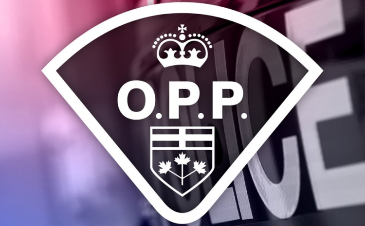 One injured, one charged in QW high school fight – Quinte News