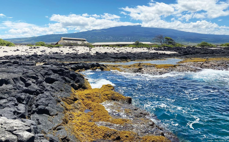 Sea Salts of Hawaii diversifies amid Covid, acquires Kona salt farm – Pacific Business News – The Business Journals