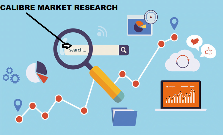 Global Domain Name System (DNS) Firewall Market Project Economics Competitive Landscape 2022-2029 | Cisco, Infoblox, VeriSign, BlueCat – FortBendNow – FortBendNow