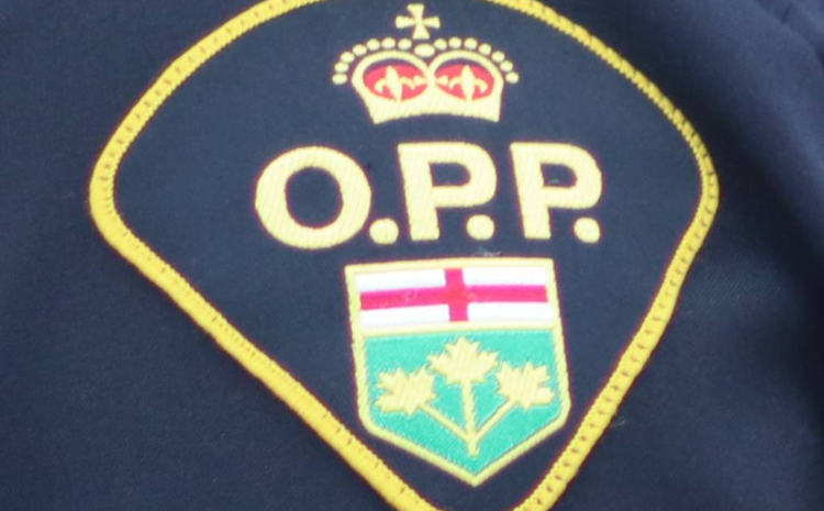 INQUINTE.CA | Traffic stop in QW results in drug arrest – inquinte.ca