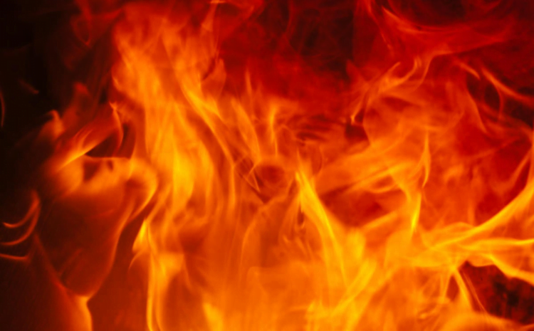 13 hot language projects riding WebAssembly – InfoWorld