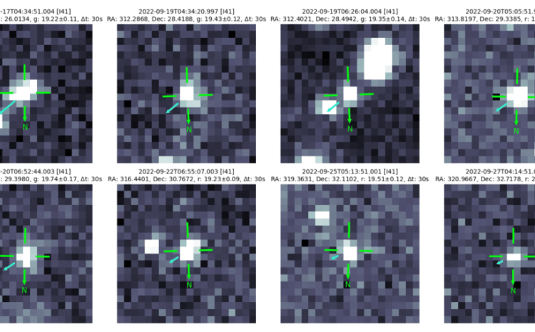This week in AI: Experiments, retirements, and extinction events