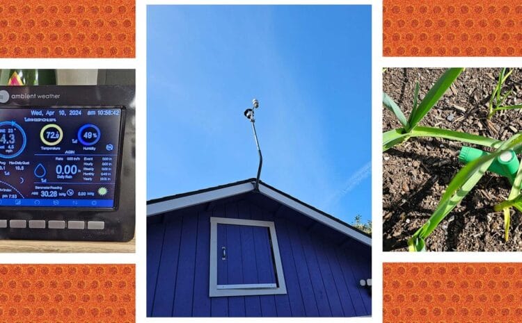 Ambient Weather WS-5000 Review: A Fantastic Weather Station