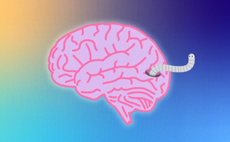 How Not to Get Brain-Eating Worms and Mercury Poisoning