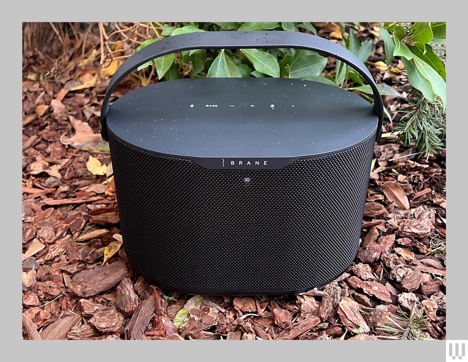 Black oval shaped speaker with handle on top and icons on top sitting in woodchips beside small plants
