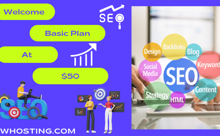 SEO Company Xiaoyan